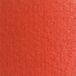 Van Gogh Olieverf 40 ml - 366 Quinacridone Roos
