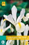 Jub Iris Hollandica Wit Bloembollen 25 Bollen Hollandse Iris JUB
