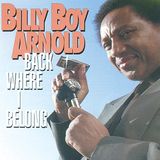Billy Boy Arnold - Back Where I Belong