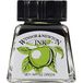 Winsor & Newton 1005011 Drawink Ink - tekeninkt voor kalligrafen, illustratoren, grafici, kunstenaars - waterbestendige kleuren, uitstekende transparantie - 14ml fles, Apple Green