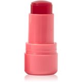 Technic Cosmetics Jelly Tint