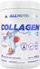 ALLNUTRITION Collagen Pro Curcuma MSM Chondroïtine Acide Hyaluronique Extrait de Gingembre Curcumine Complément Alimentaire 400g Fraise
