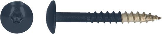 pgb-Europe PGB-FASTENERS HPL schroef Tx20 4,8x38 R5011 A4