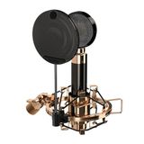 iCON Pro Audio Aurora condensatormicrofoon, cardioïde karakteristiek, 125 dB dynamisch bereik, metalen behuizing