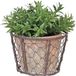 Esschert Design AT10 verouderde terracotta pot in metalen mand