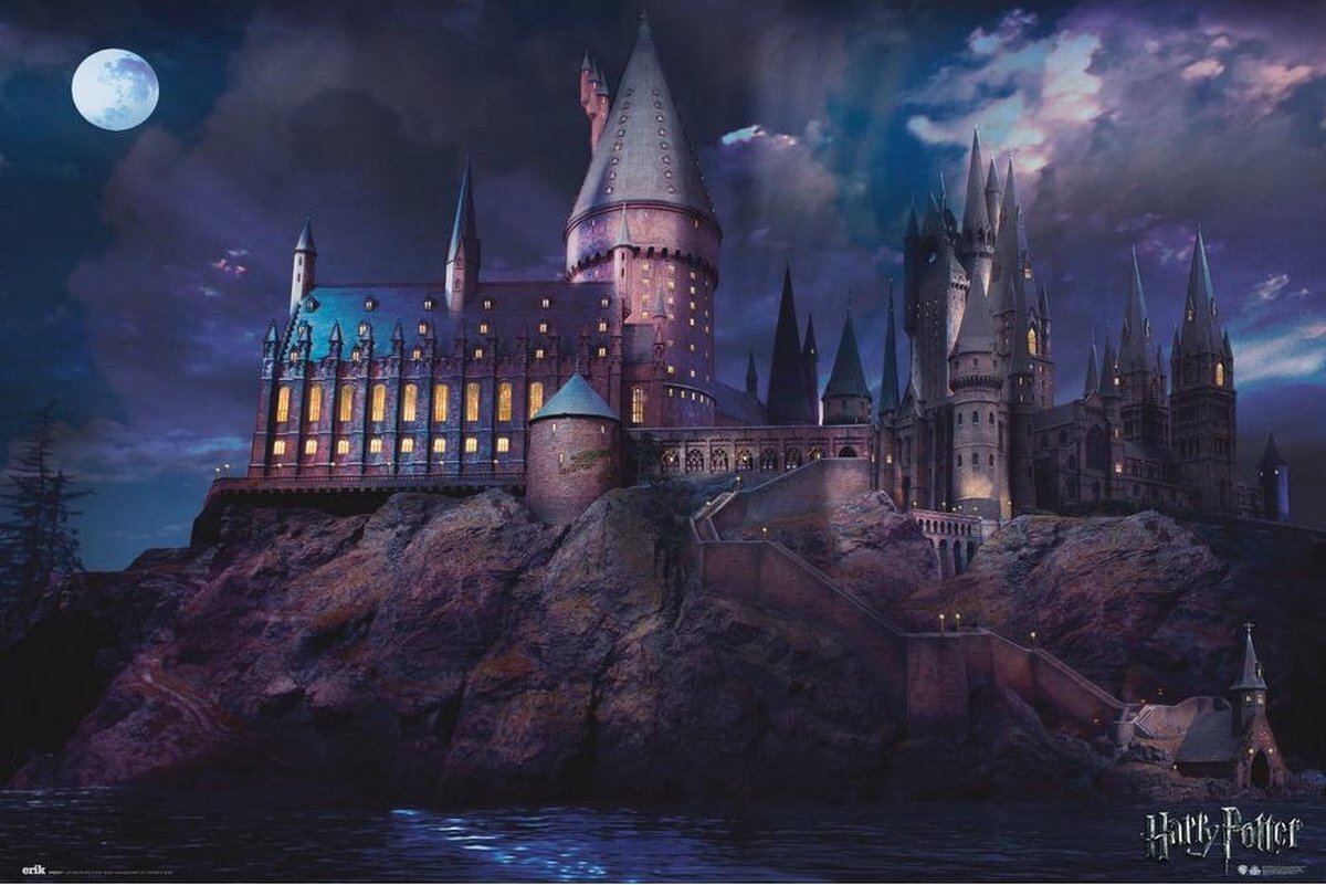 Erik Harry Potter Hogwarts Poster - 91,5x61cm