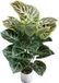 Unyqoos® Realistische kunstplant van 85 cm met pot voor interieurdecoratie