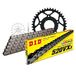Kettingset DID Kettingset staal 520VX3 / 108 klinkslot voor Aprilia RS Extrema replica 125 cc bj. 1993-2005