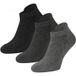 Apollo Sneakersocken mit Frottee-Sohle – Grau melange – 36-41