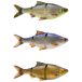 Savage Gear 3D Line Thru Roach Swimbait 32cm 420g Slow Sinking Clear Rudd