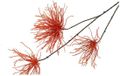 Countryfield Kunstbloem Grevillea oranje 94x24x13cm