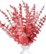 Eucalyptus plastique branches, 20 pièces, feuilles argentées, tiges rouges
