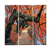 Homemania Muurfoto, boom 3-delig, natuur en landschappen per woonkamer, kinderkamer, meerkleurig, 69 x 3 x 50 cm, HM203PKNV-224, polyester, hout