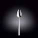 Wilmax WL-999303/A dinerlepel van roestvrij staal, 20 cm lengte