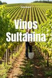 Vinos Sultanina