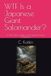 WTF Japanese Giant Salamander: A WTF Series Guide to This Special Ancient Amphibian