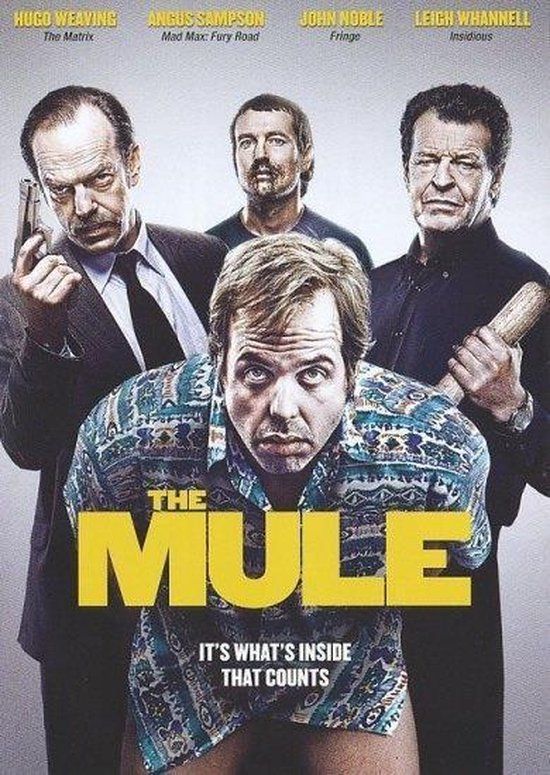 Remain in Light Mule (DVD)