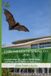 Chronicles of Spring I/O 2026: Compendium of Voices, Reflections, Learnings, and Trends in Spring