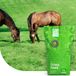 MRS Herbe pour chevaux de prairie Faible Fructane - 2 kg