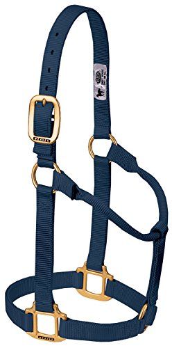 Weaver Leather Original Non-Adjustable Nylon Horse Halter, Small, Navy