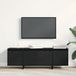 Maison Exclusive - Meuble TV, 120 x 30 x 40,5 cm, noir, aspect chêne