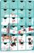 BRUBAKER Adventskalender Katten - voor Kattenliefhebbers - Kerstkalender met 24 Vakjes om zelf te vullen met kleine Cadeautjes