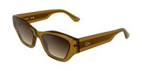 Lacoste L6072S Transparent brown 52/18/140 Vrouwen Zonnebrillen