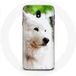Maniacase Etui voor Samsung Galaxy J5 2017 Samojeed Hond Wit