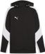 Puma TeamEVOSTRIPE Hoody 659954