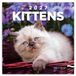 Presco Kittens Kalender 2027 Wandkalender Dieren Blauw Grijs Wit