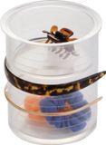 iDesign Organizer haaraccessoires met bakje - 69930EU - Sorteervakken