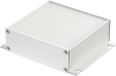 Bopla FILOTEC F 1036-100 WL 97216100.HMT1 Flensbehuizing 105 x 36 x 100 Aluminium Aluminium (geëloxeerd) 1 stuk(s)