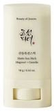 Beauty of Joseon Matte Sunscreen Stick: Mugwort + Camelia 18g
