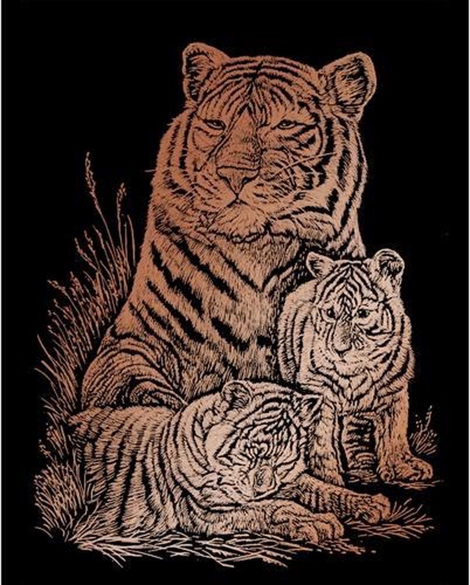 Royal & Langnickel Kraskaart - Tijger - 20,3x25,4cm - Koper