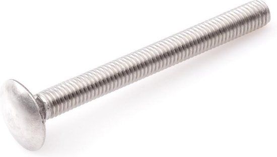 Intergard Slotbout RVS DIN 603 M6x25mm