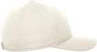 Atlantis Headwear Honingraat baseballpet Skye