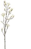 Buitengewoon Boet Kunsttak Magnolia Spray Cream - 135 cm