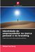Identidade Edicoes Nosso Conhecimento Identidade do empreendedor na marca pessoal e no branding Paperback