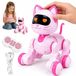 Chat programmable - Jouet interactif et télécommandé - Capteur tactile - Chante et danse - 12 fonctions - Fabriqué en plastique - Convient aux enfants à partir de 14 ans