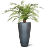 maxifleur Kunstplanten Alsophillia Varen kunstplant XXL 80cm - UV bestendig