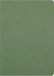 Clairefontaine 733063C Collectie Nomaddict (ex Age Bag) Geniet Schrift Groen - A4 21x29,7 cm - 96 Pagina's Gelijnd met Kantlijn - Wit Papier 90 g - Omslag Glanskarton met Lederkorrel