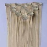 THE LOOK SYNTHETIC 5 PIECES CLIP IN HAIR EXTENSION P27-613 (22")