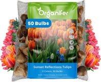 Organifer Tulpenbollen - 50 Bloembollen - Sunset Reflection - Princess Mix Oranje Roze Koraal