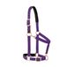Weaver Leather Gewatteerde Breakaway Verstelbare kin en keel Snap Halter, 1 "Gemiddelde Paard of Jaarling Draft, Paars