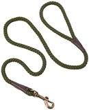 Ancol Heritage Nylon Touw Hondenriem Groen Sterk Duurzaam Weerbestendig Diamant Weefsel Heavy Duty Trigger Haak Lederen Joint Afwerking Comfortabele Grip Huisdier Puppy Wandelen Accessoire 1,07 m x 10