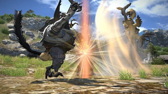 Square Enix Final Fantasy XIV - Starter Edition PlayStation 4