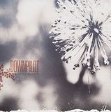 Sonic Rendezvous Downpilot - Like You Believe It (CD)