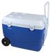 Robuuste koelbox met een inhoud van 46 liter, ideaal voor kamperen