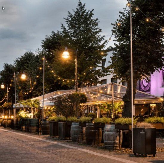 WhyLed Prikkabelset - 50M - 100 Fittingen - Blauw - 1W Filament LED Lampen - IP44