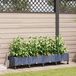 Maison Exclusive - Jardinière pour fleurs avec système d'arrosage et roues, lot de 4, couleur gris, en plastique PP